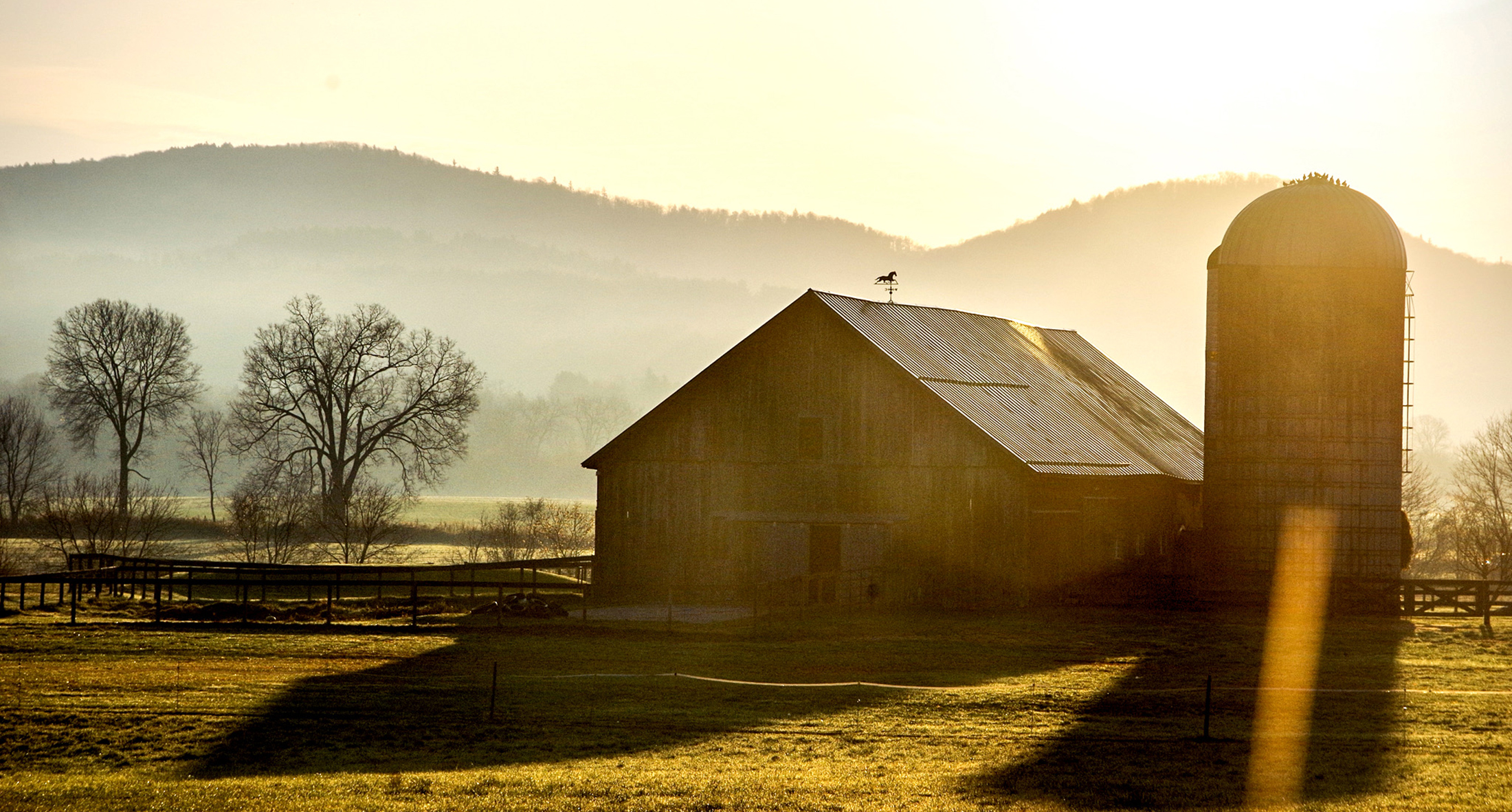 Farm-Golden-Hour-DT